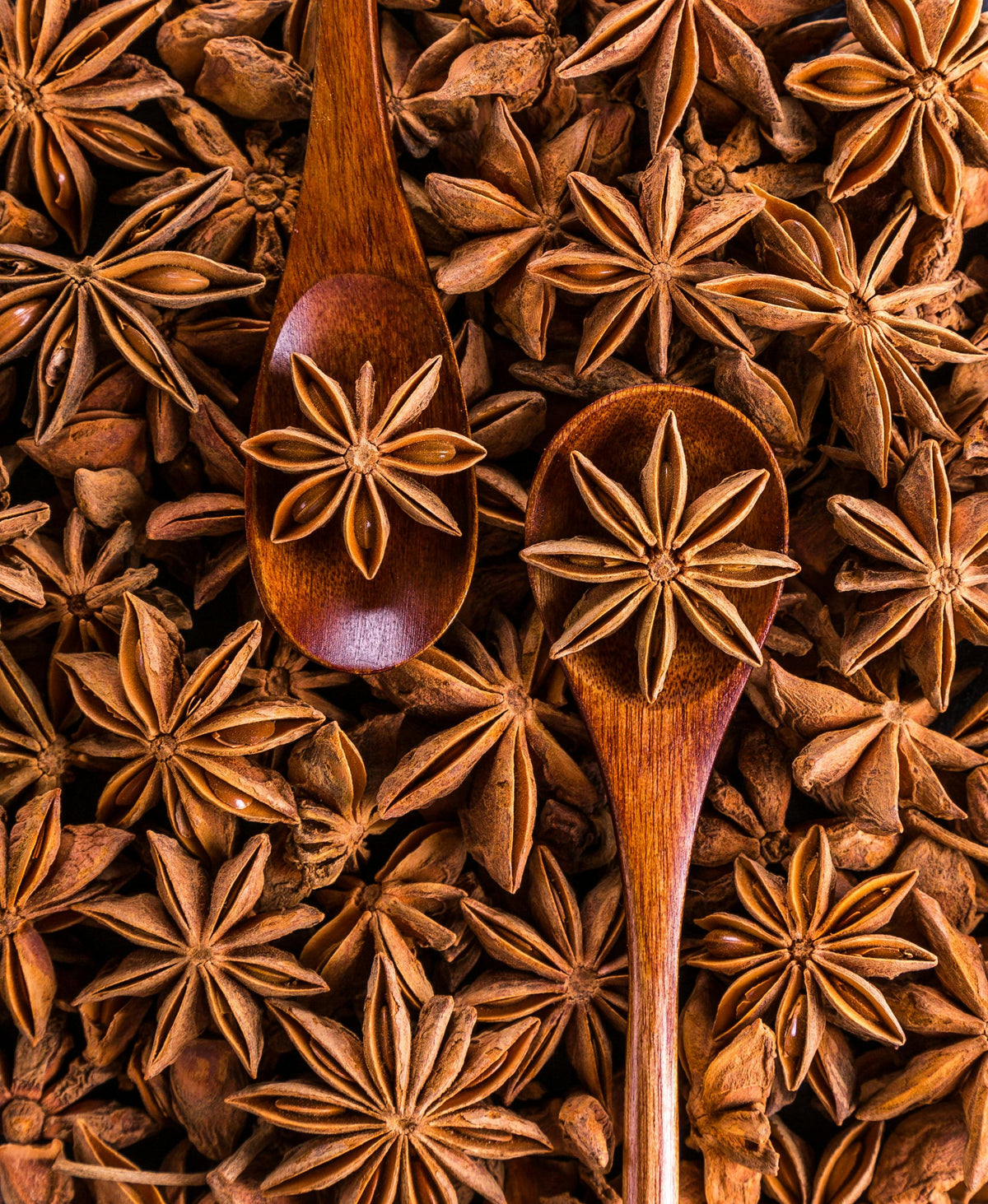 Spices Sachets